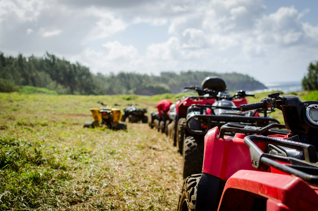 Newfoundland's Best Off-Road Trails for Your Next Adventure